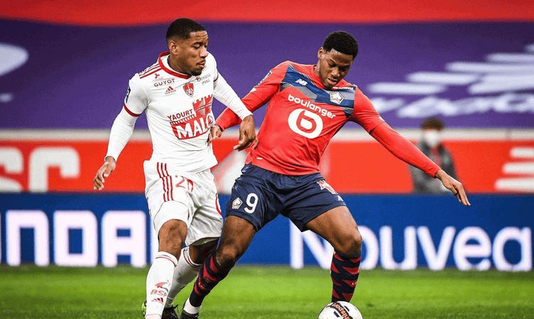 成功也要归 成功也要归